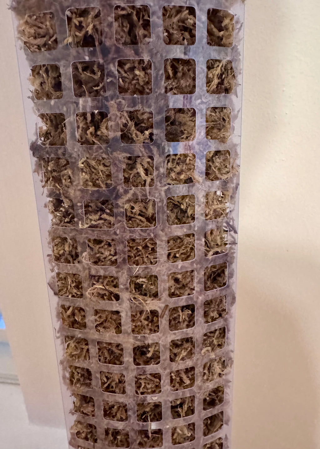 Pre Constructed Sphagnum Moss Pole (~4ft)