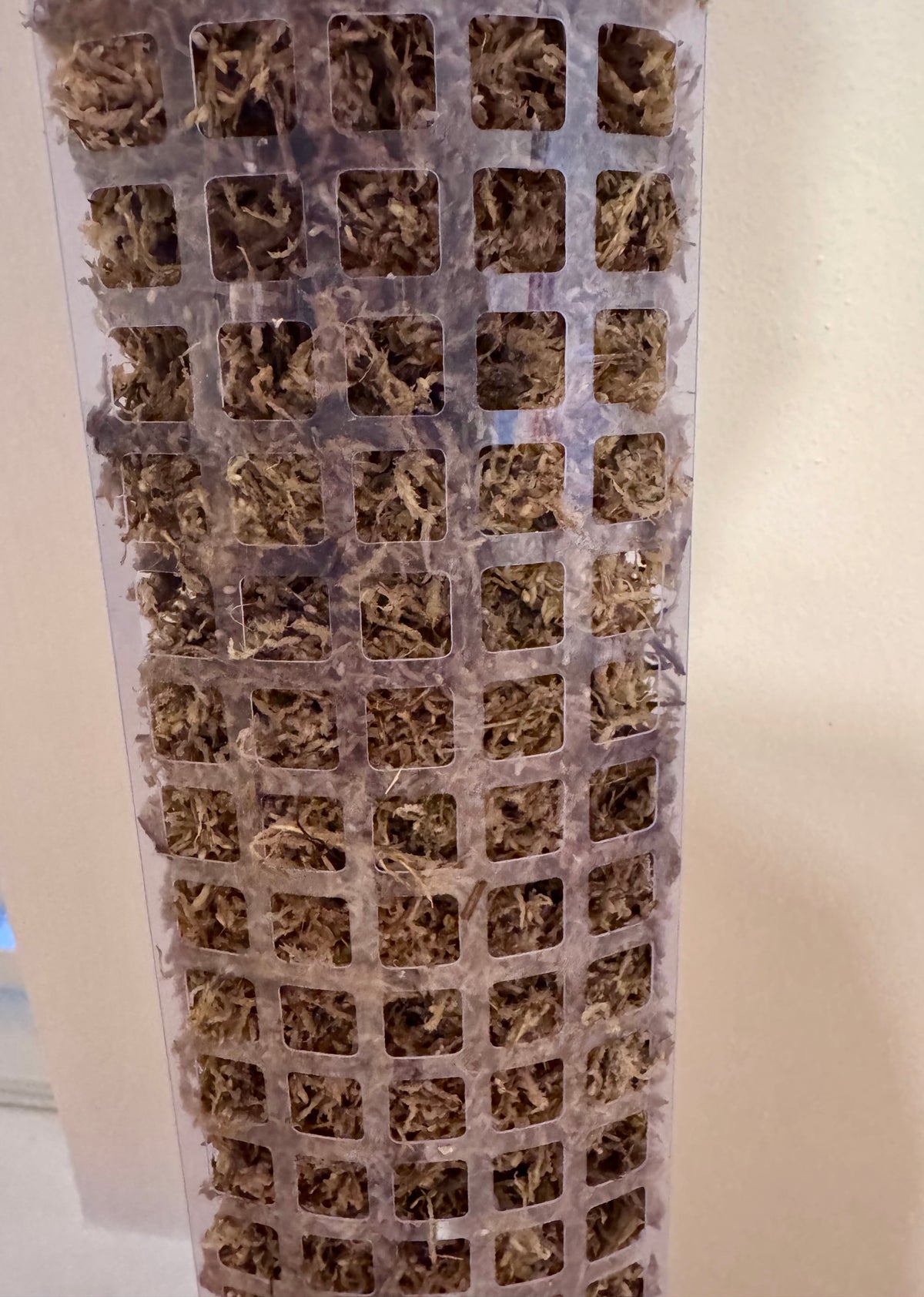 Pre Constructed Sphagnum Moss Pole (~4ft)