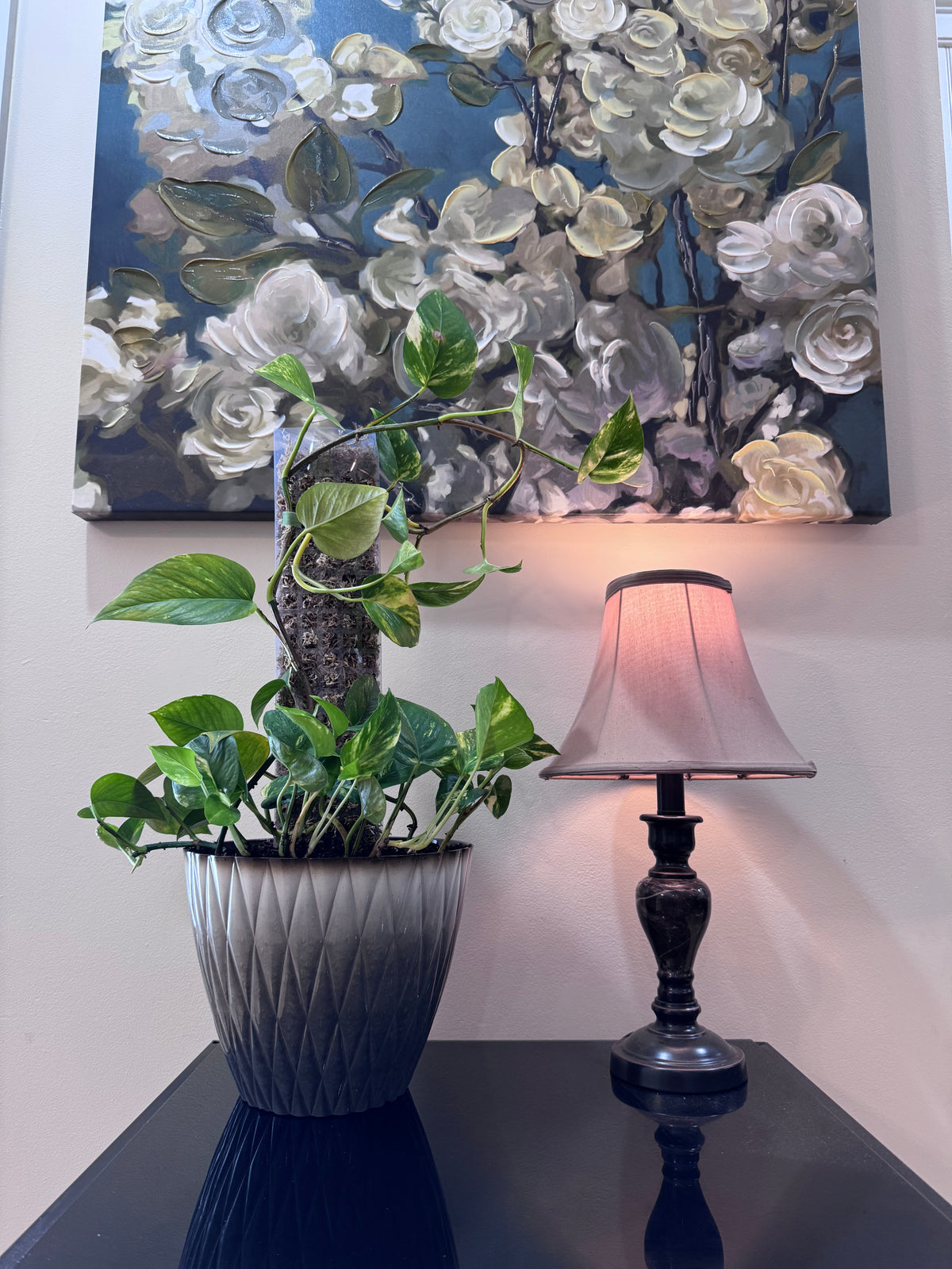 Large Golden Pothos on Moss Pole - Decorative Planter