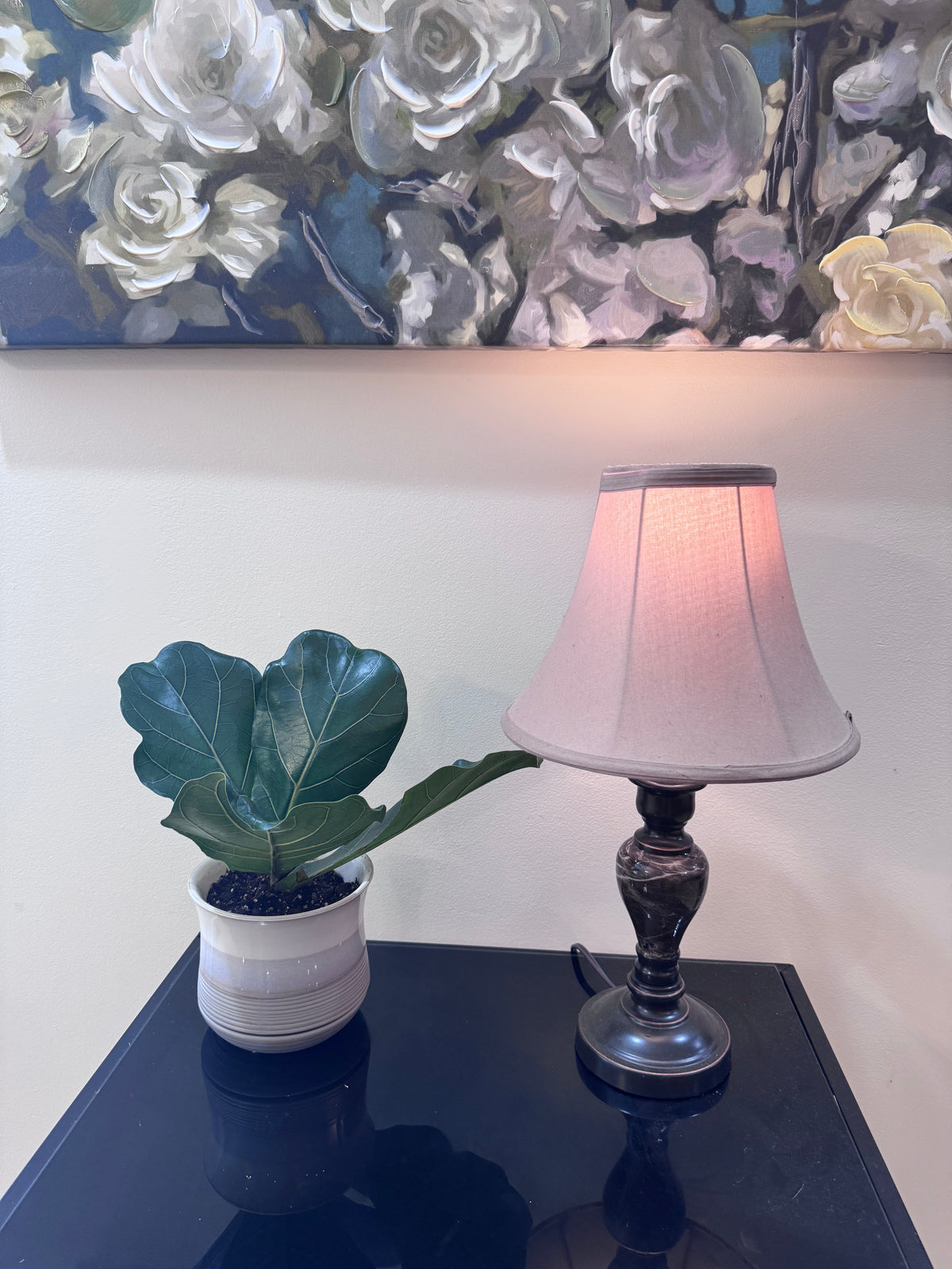 Fiddle Leaf Fig — Rooted & Potted in Ceramic Planter