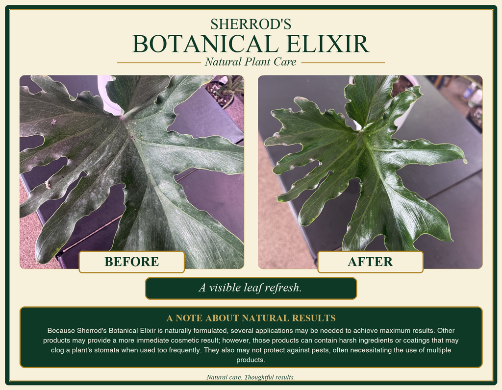 Sherrod's Botanical Elixir